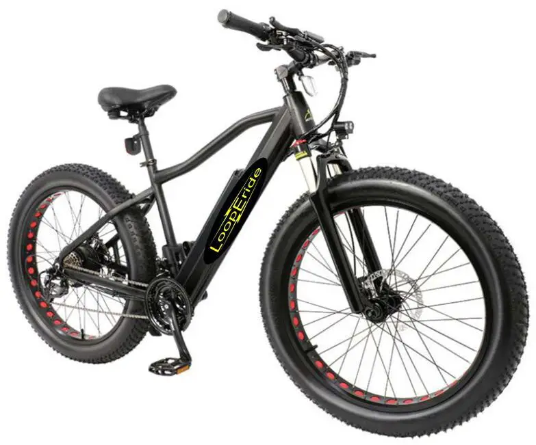LoopEride-Wolverine-1000-26-AWD-Full-Frame-Bicycle-image