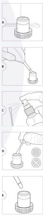 euromex-DX.2153-PLi-Delphi-X-Metallurgical-Observer-Clinical-Microscope-18