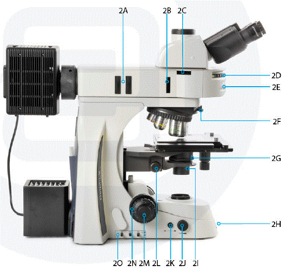 euromex-DX.2153-PLi-Delphi-X-Metallurgical-Observer-Clinical-Microscope-2