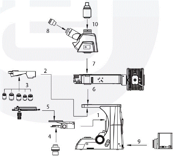 euromex-DX.2153-PLi-Delphi-X-Metallurgical-Observer-Clinical-Microscope-4