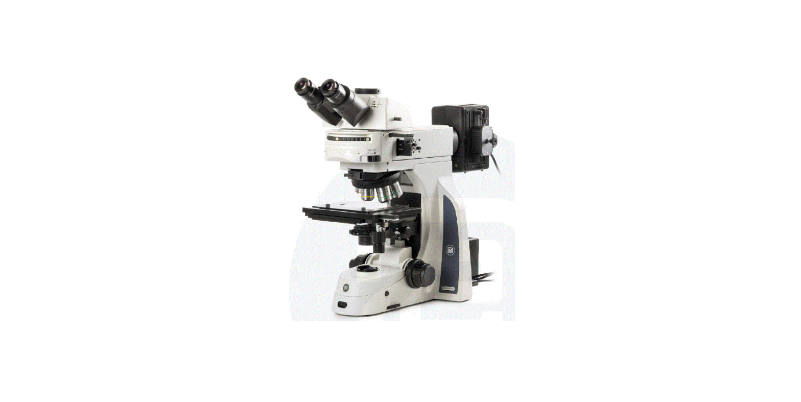 Euromex Dx.2153-pli Delphi-x Metallurgical Observer Clinical Microscope User Manual