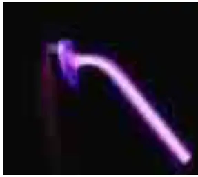 ZEUS-Beginner_s-Guide-to-Violet-Wands-removebg-preview-fig-2