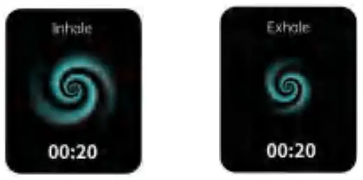 OEM 2166 Waterproof Smart Watch - FIG 12