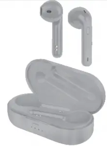 True Wireless Earphones Operating instructions