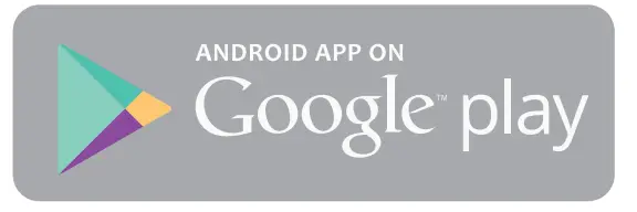 Google play Icon