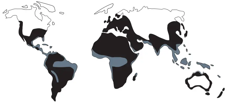 BEKO ÖWAMAT 12 Oil-Water Separator - Performance and climate data