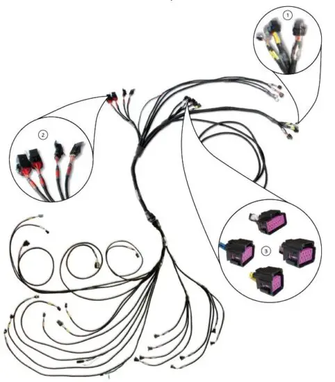 FuelTech- PR0600 -Wiring- Harness -1