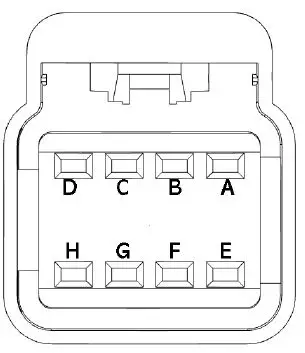 FuelTech- PR0600 -Wiring- Harness -21