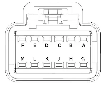 FuelTech- PR0600 -Wiring- Harness -22
