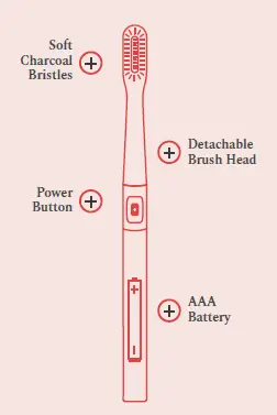 perfora -Electronic -Truthbrush -1