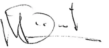 WILKS USA RX545i Electric Pressure Washer - Signed