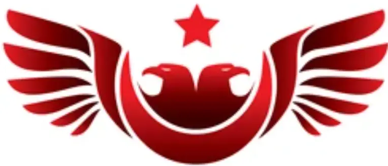 Doubleeagle Industry E324-003 Radio Control Toys logo