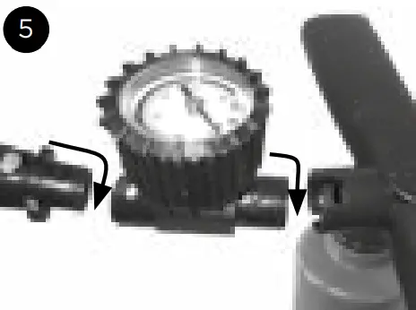 CleverSpa Black Label Pool-fig11