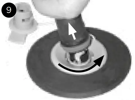 CleverSpa Black Label Pool-fig15