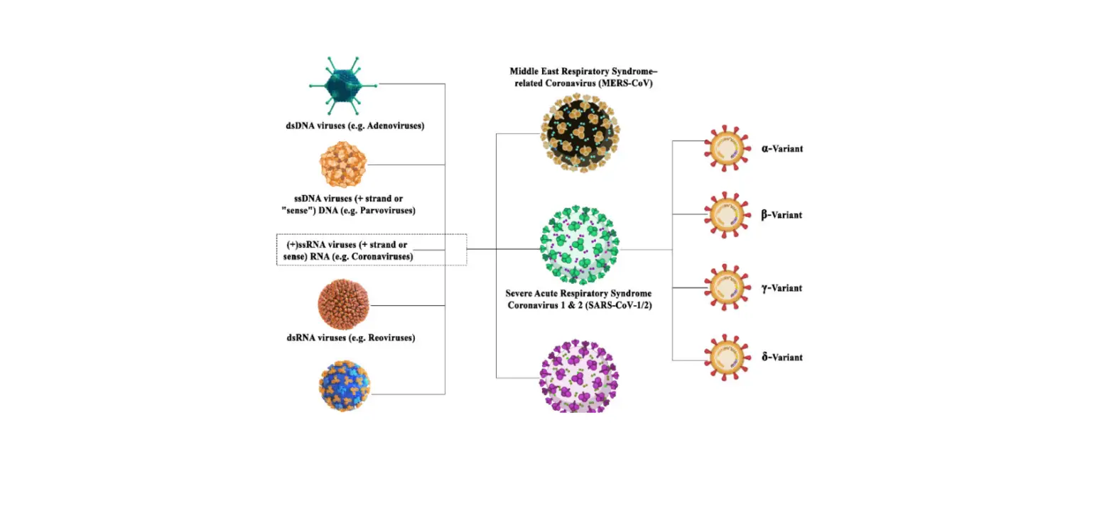 Co-dx Covid-r-002 Logix Smart Sars-cov-2 Instruction Manual Co-dx Covid-r-002 Logix Smart Sars-cov-2 Instruction Manual