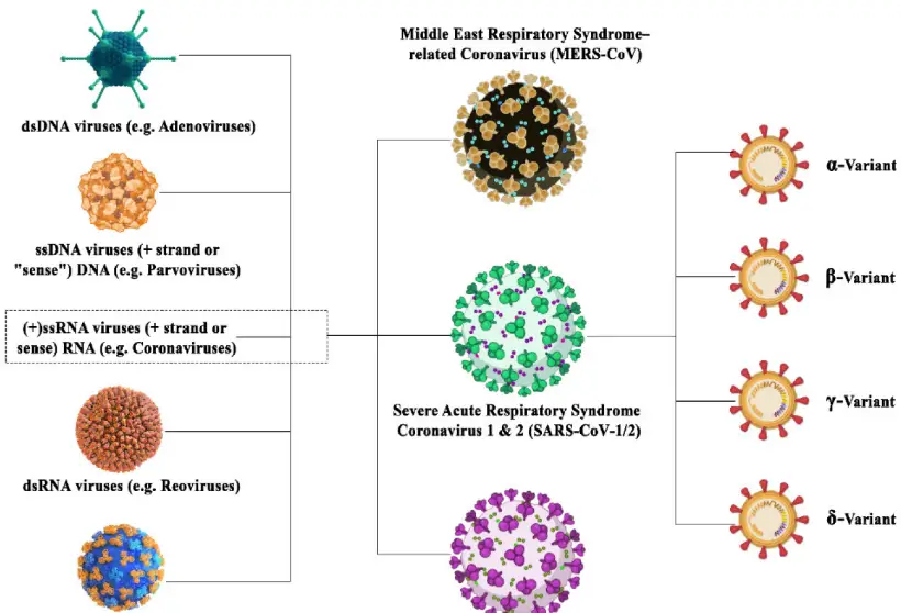 Co-Dx-COVID-R-002-SARS-CoV-2-PRODUCT