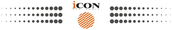 iCON logo2