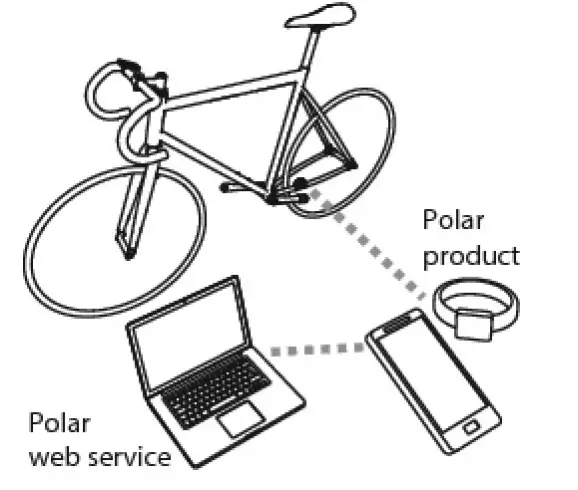 Polar Cadence Sensor