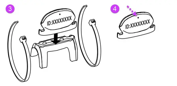 Installing The cadence Sensor