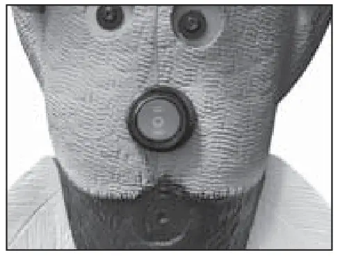 AVIAN X AVXDP100 Powerpro Smart Mallard- DECOY OPERATION