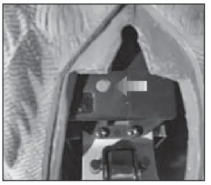 AVIAN X AVXDP100 Powerpro Smart Mallard- FACTORY RESET