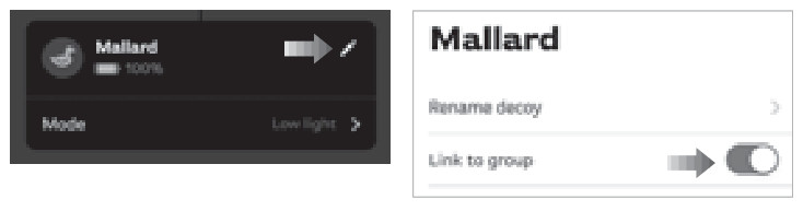 AVIAN X AVXDP100 Powerpro Smart Mallard-LINKING MULTIPLE DECOYS