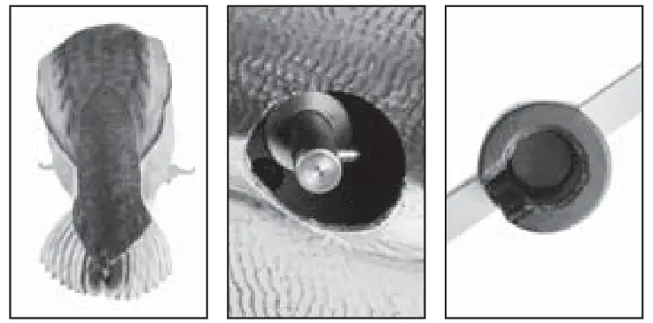 AVIAN X AVXDP100 Powerpro Smart Mallard