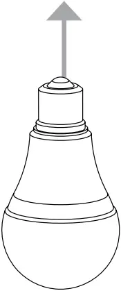 51420 Indio - Bulb