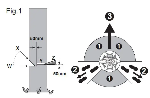 WORX-WG384E-Cordless-Chainsaw-08