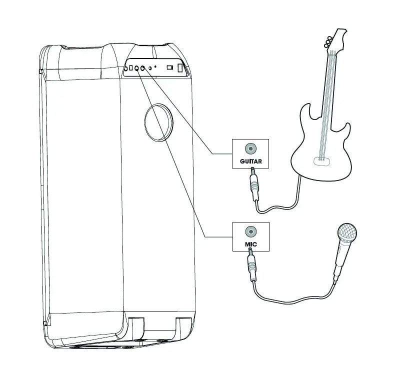 auna 10035261 8 Inch Woofer Clubmaster DJ Speaker - TERMINALS AND CONNECTIONS 5