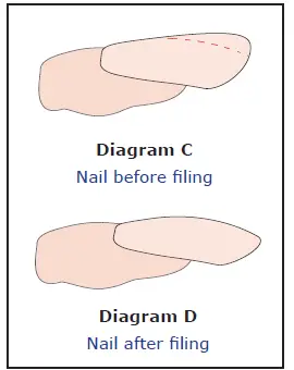 Lib Se-UV-&-LED-BUILDER-GELS-fig-4