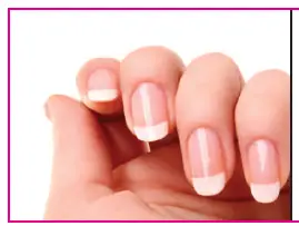 Lib Se-UV-&-LED-BUILDER-GELS-fig-5