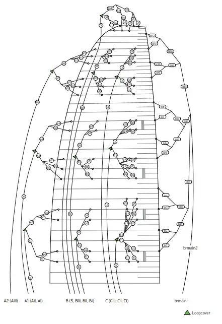 LINE SCHEMATIC