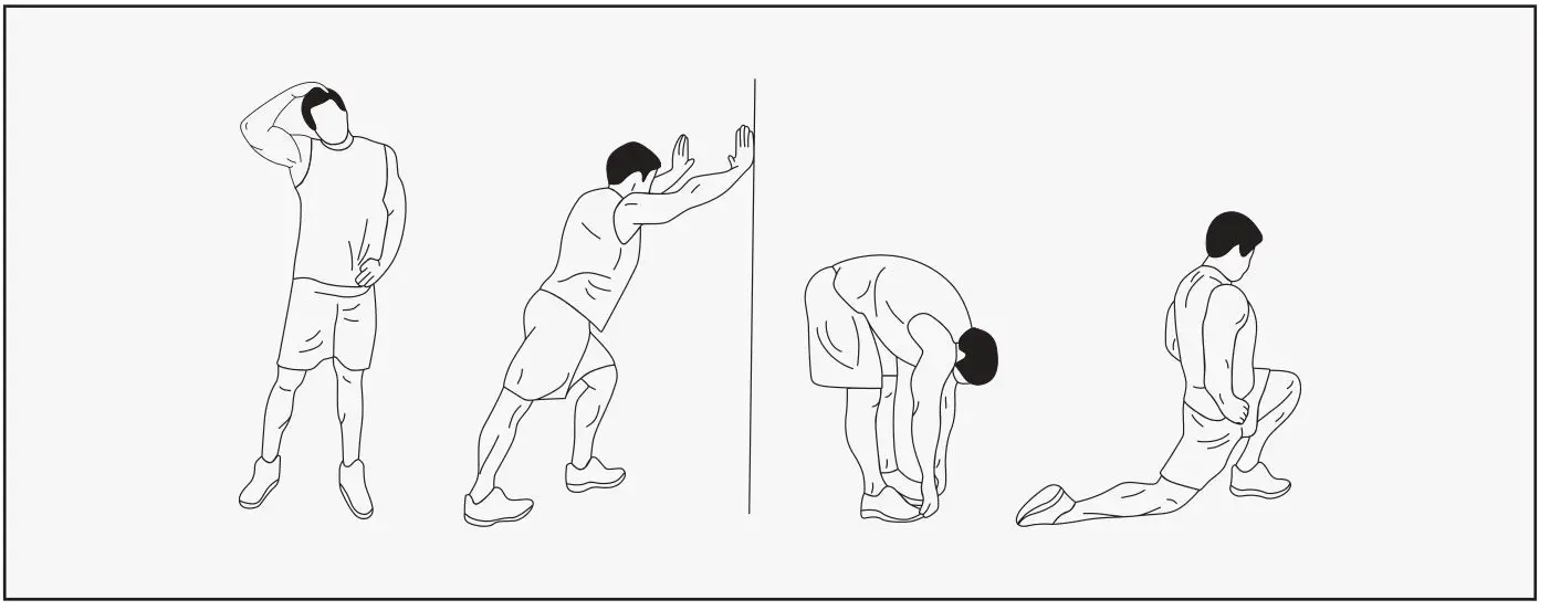 CORTEX FID-09 Commercial Multi Adjustable Bench - the fitter you are, the healthier and greater you will feel
