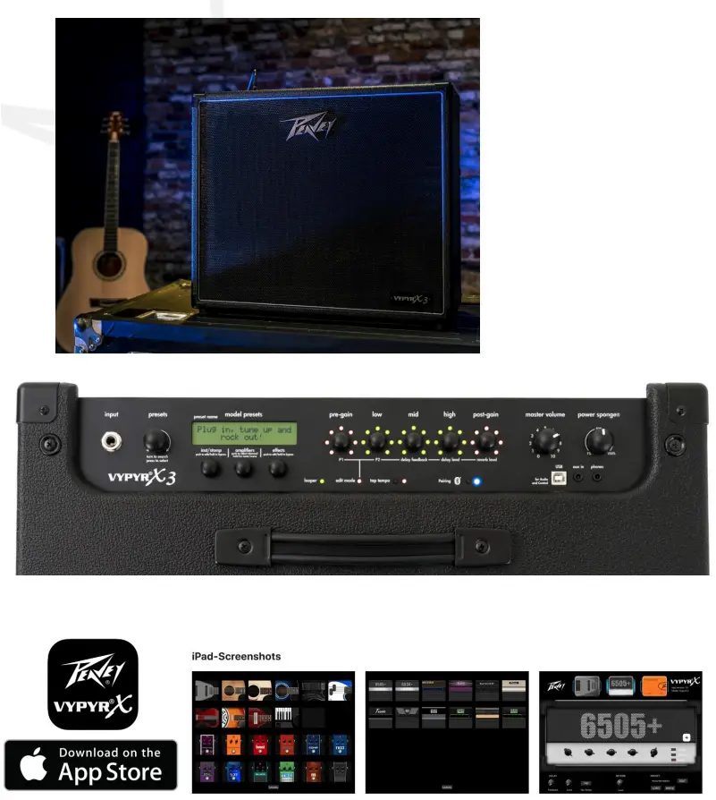 FACE MI PEAVEY VYPYR X3 Guitar Modeling Amplifier - fig