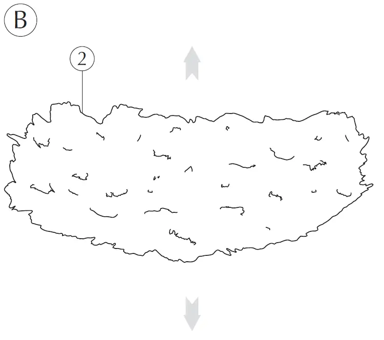 UMAGE EOS Lamp Shade 8