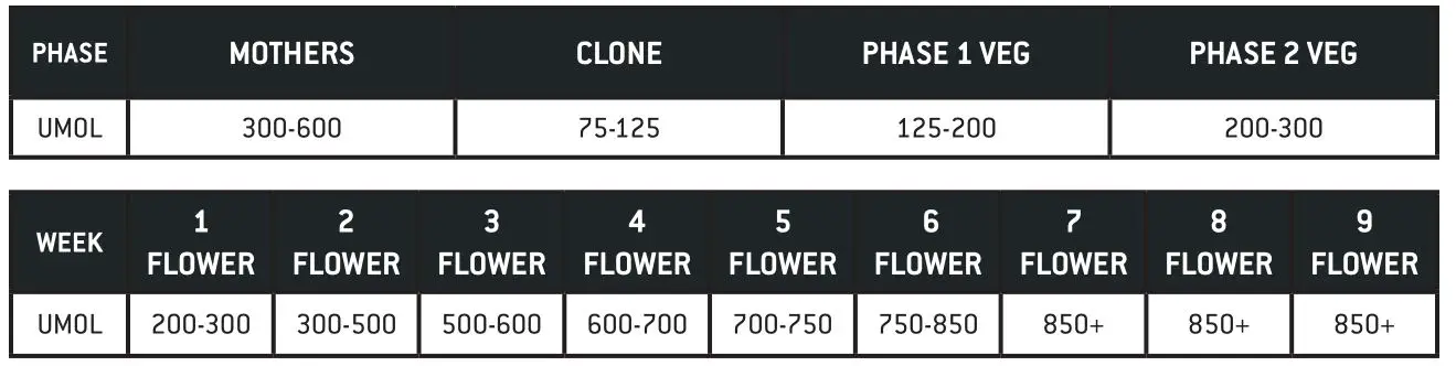 LUXX LIGHTING LUX-645-277 645w LED Pro Light - APPROPRIATE BASELINE LIGHTING LEVELS