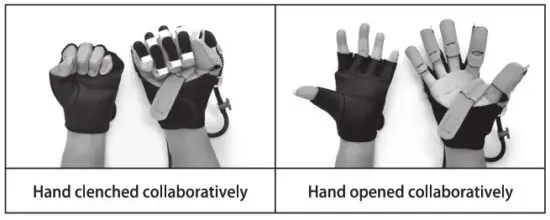 Banggood 933 Hand Function Rehabilitation Training Device - hand