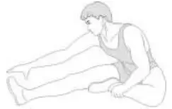 Hamstring Stretch
