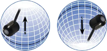 globe