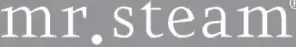 mr-steam-logo