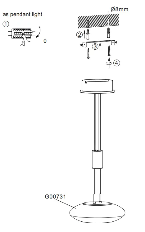 Paul-Neuhaus-2075-55-Q-ETIENNE-Pendant-Light-2