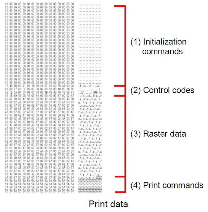 brother-cv-ql800-High-speed-Professional-Label-Printer-06