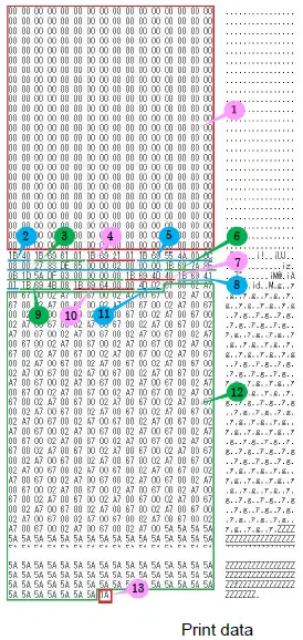 brother-cv-ql800-High-speed-Professional-Label-Printer-07