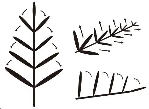 HOME DECORATORS 21WL10117 7 5 ft Merridale Balsam Fir LED Christmas - Figure 4