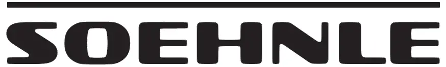 SOEHNLE-65856-Digital-Kitchen-Scales-Roma-Silver-LOGO