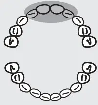 Panasonic EW-DS32 Battery-Powered Toothbrush I - Upper front teeth