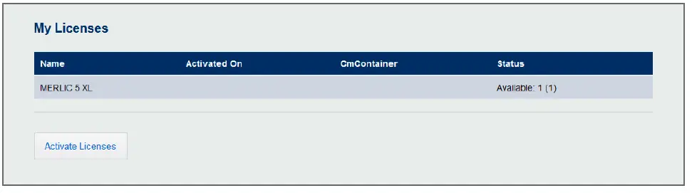 MERLIC-MVTec-Software-fig-10