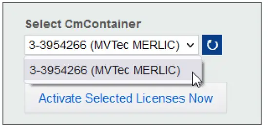 MERLIC-MVTec-Software-fig-12
