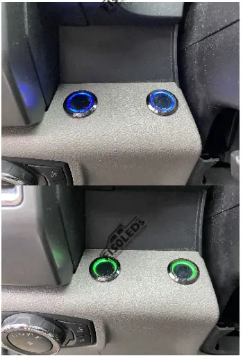 F150LEDs 2015-2020 F150 Premium Dash Switch-FIG10